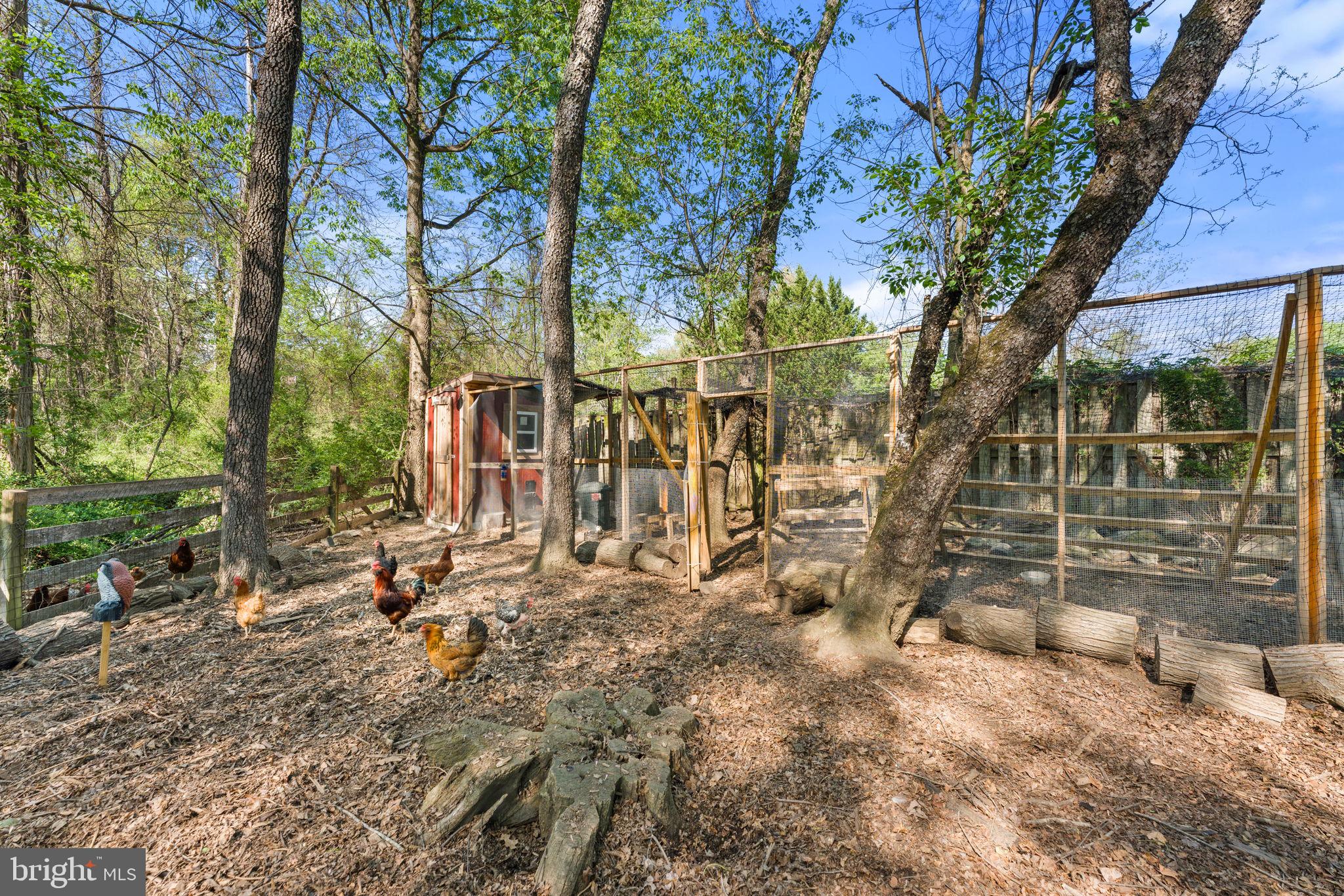 EMANCIPATION GROUNDS - Residential