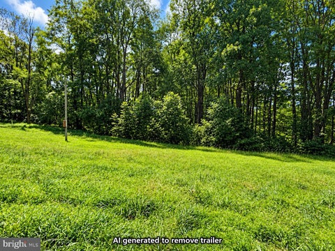 Vacant Land For Sale - 270 Retriever Road<br/> PARSONS, WV 26287