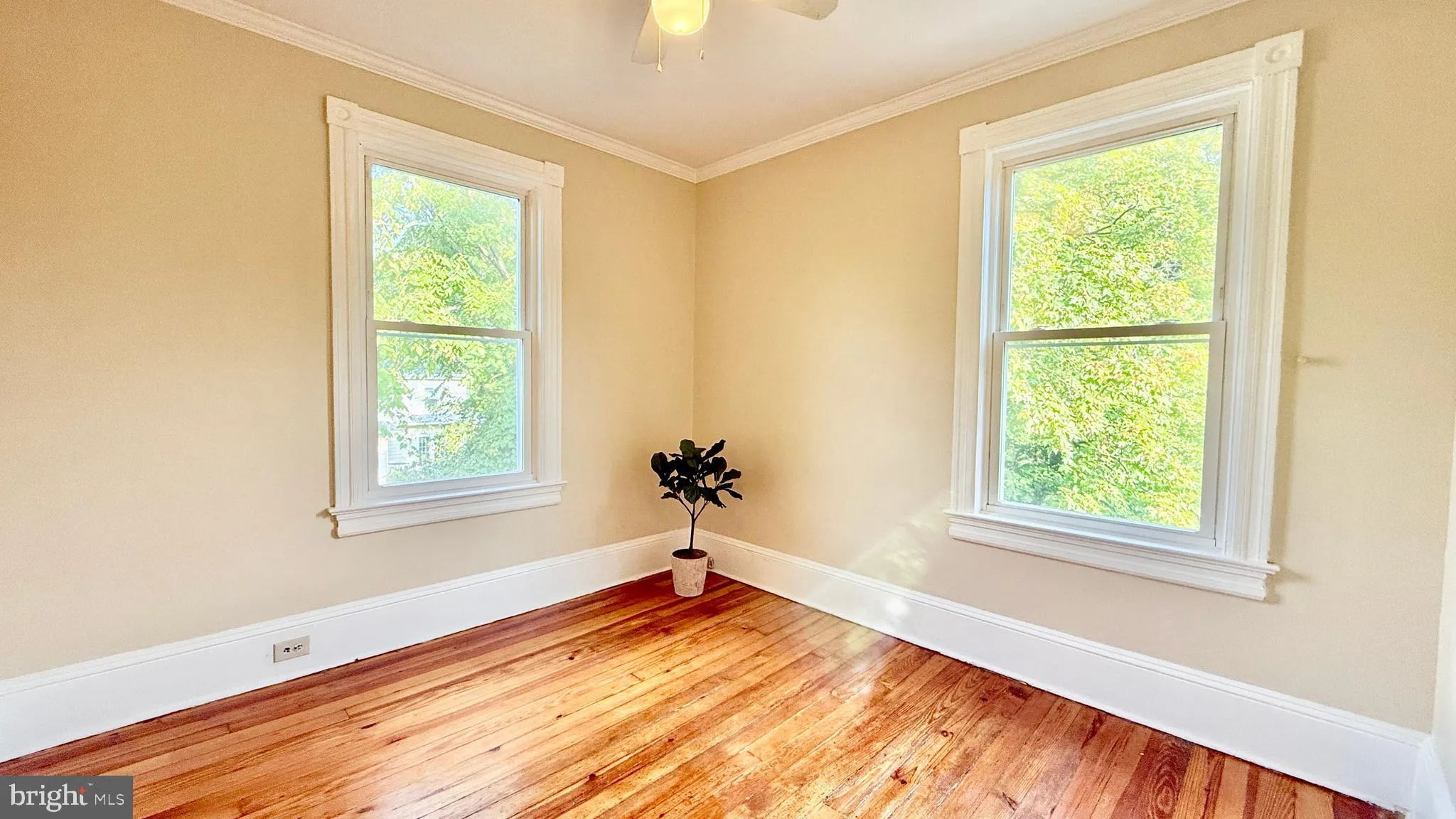 Princeton, New Jersey 08540, United States, 3 Bedrooms Bedrooms, ,2 BathroomsBathrooms,Residential,Active,212153