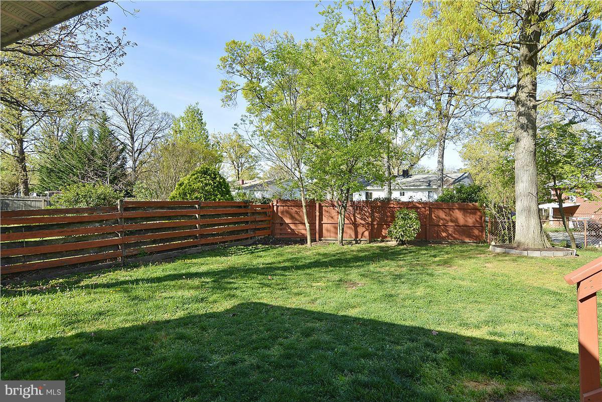 SHIRLEY FOREST - Residential