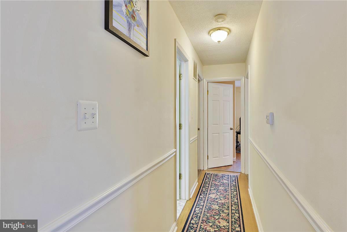 SHIRLEY FOREST - Residential