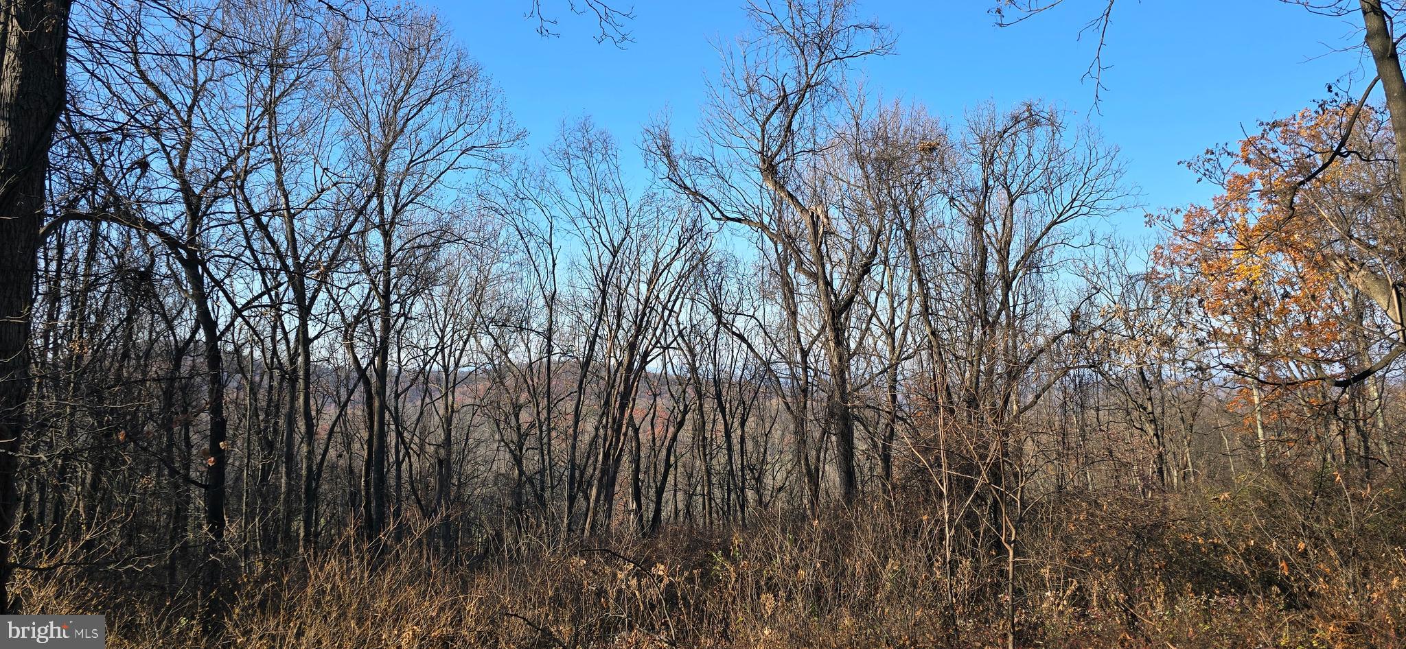 SKYLAND ESTATES - Residential