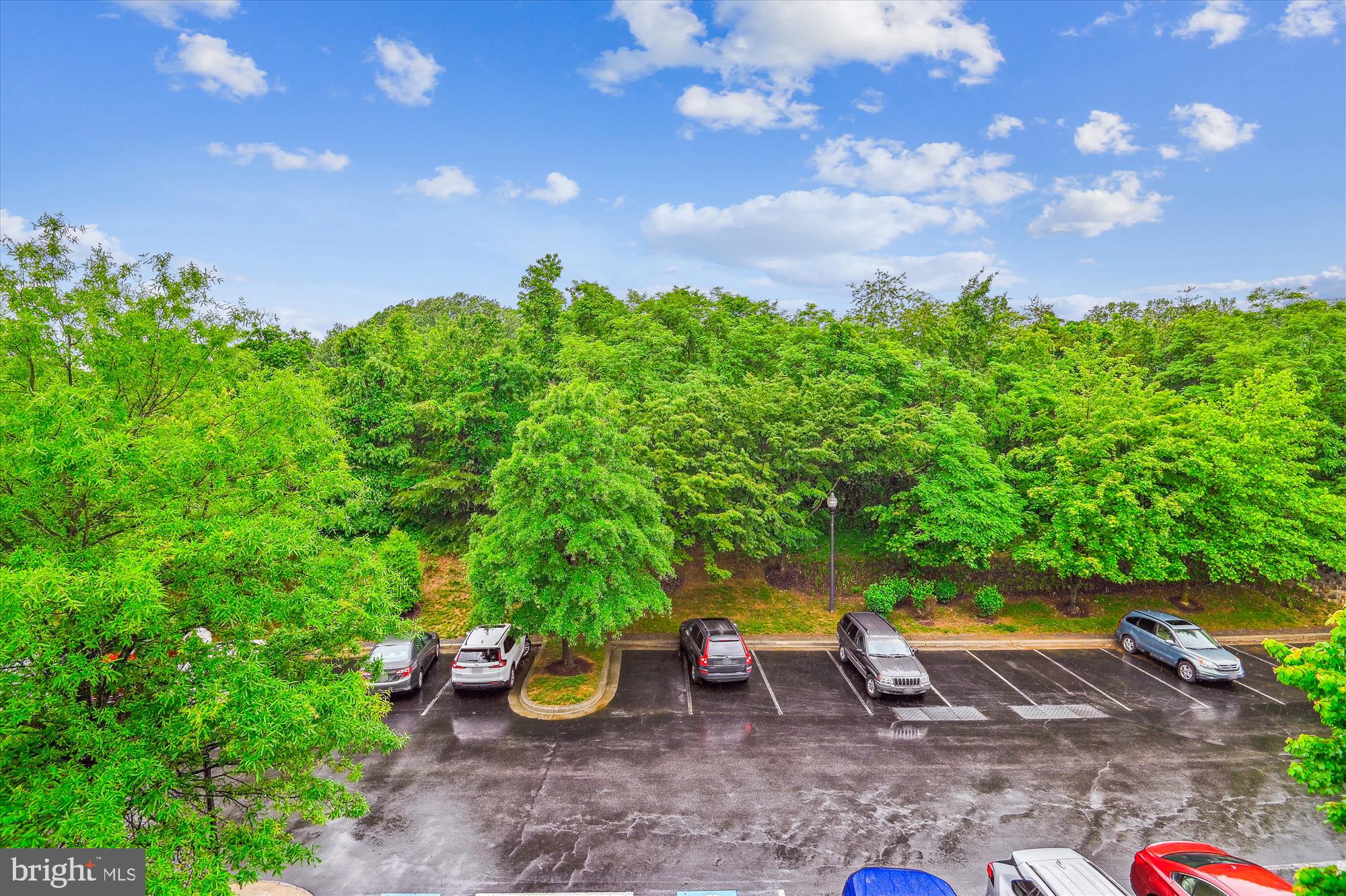 FOUR SEASONS - Residential Lease