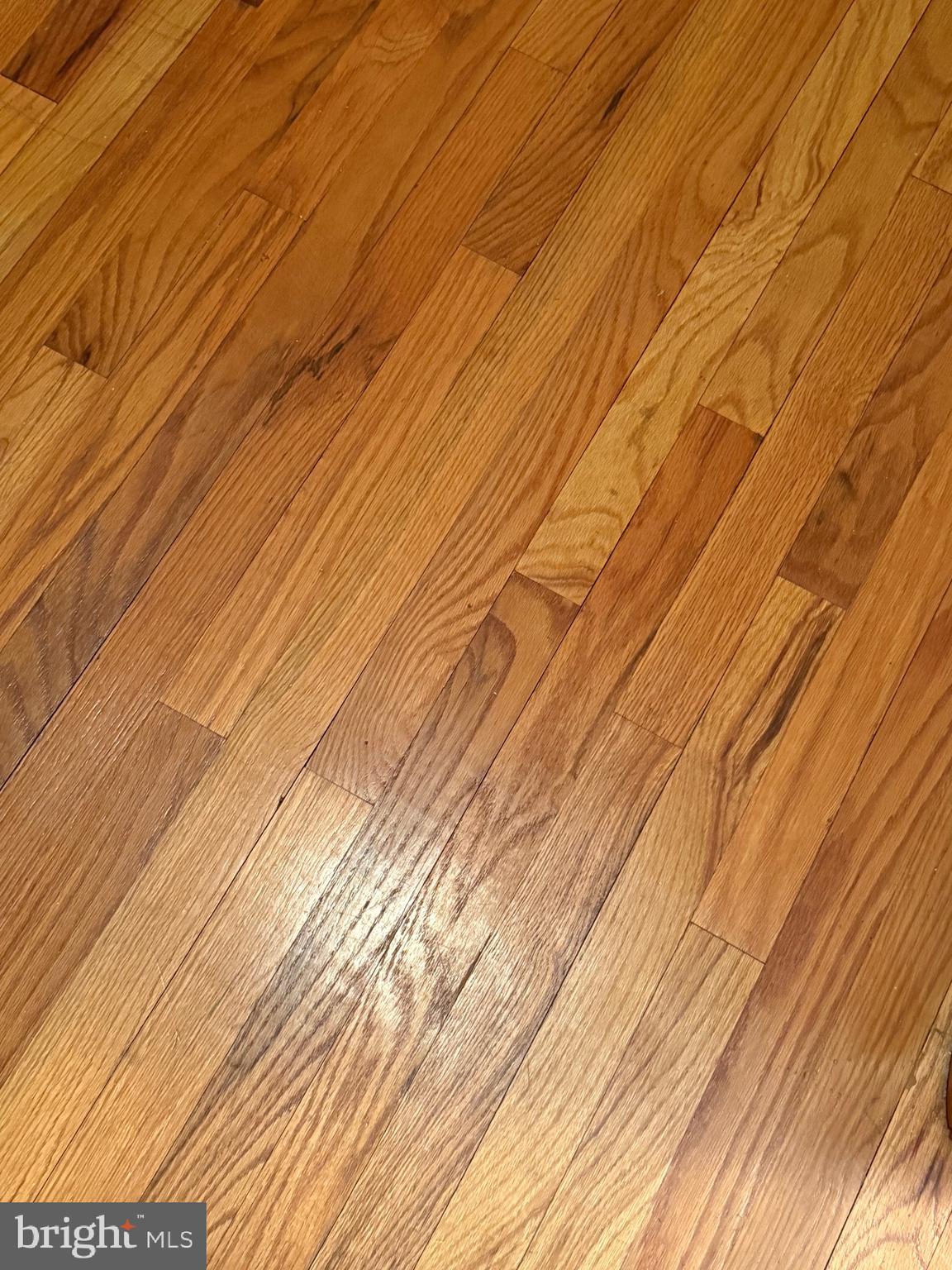 HAMILTON TWP - Residential