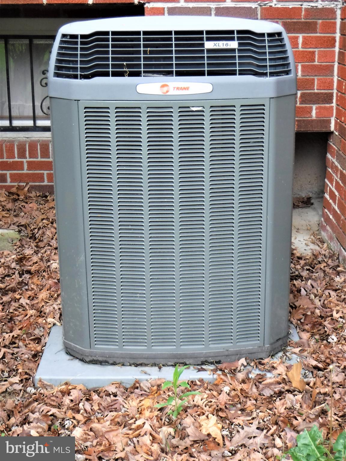 CARROLLWOOD - Residential