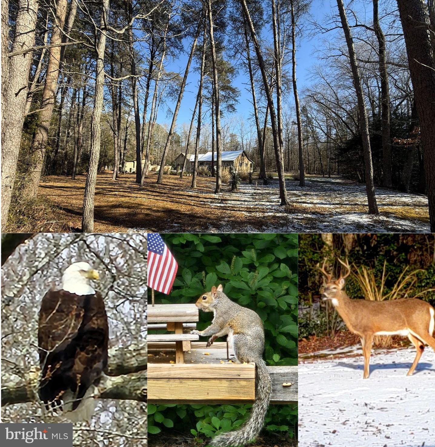 12820 PORTERS LANDING ROAD