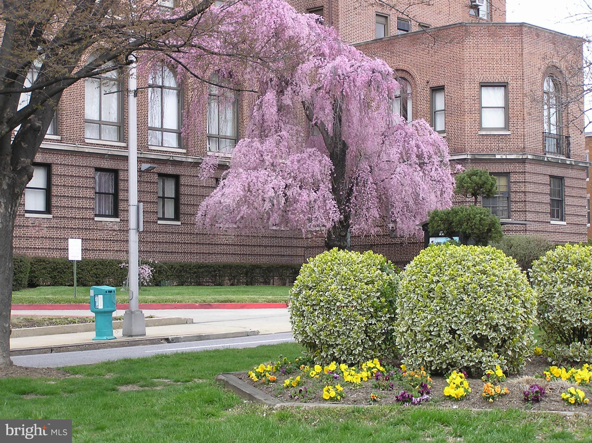 CHARLES VILLAGE - Residential