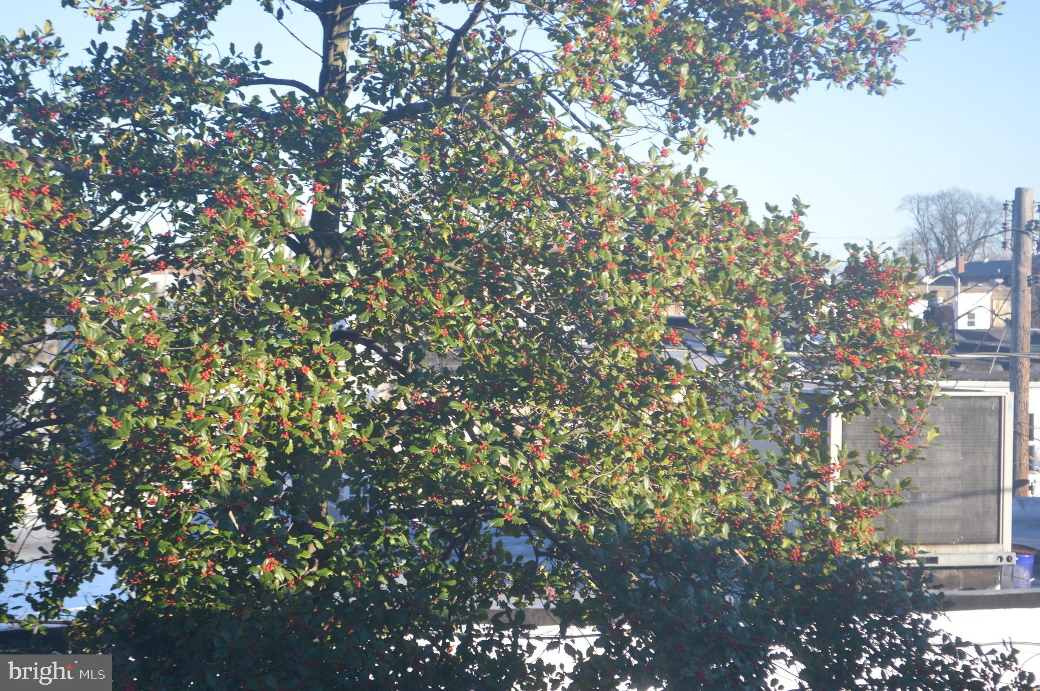 CHARLES VILLAGE - Residential