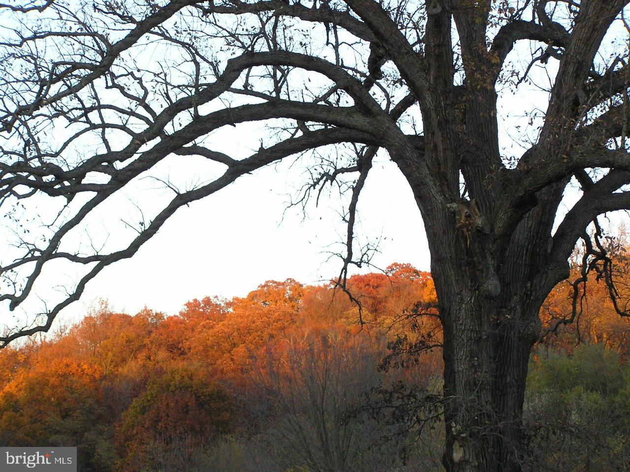 CHARLES VILLAGE - Residential