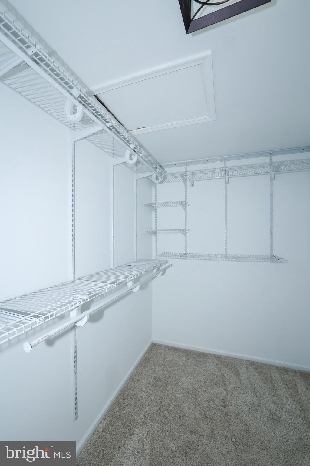 LOWES ISLAND - Residential Lease