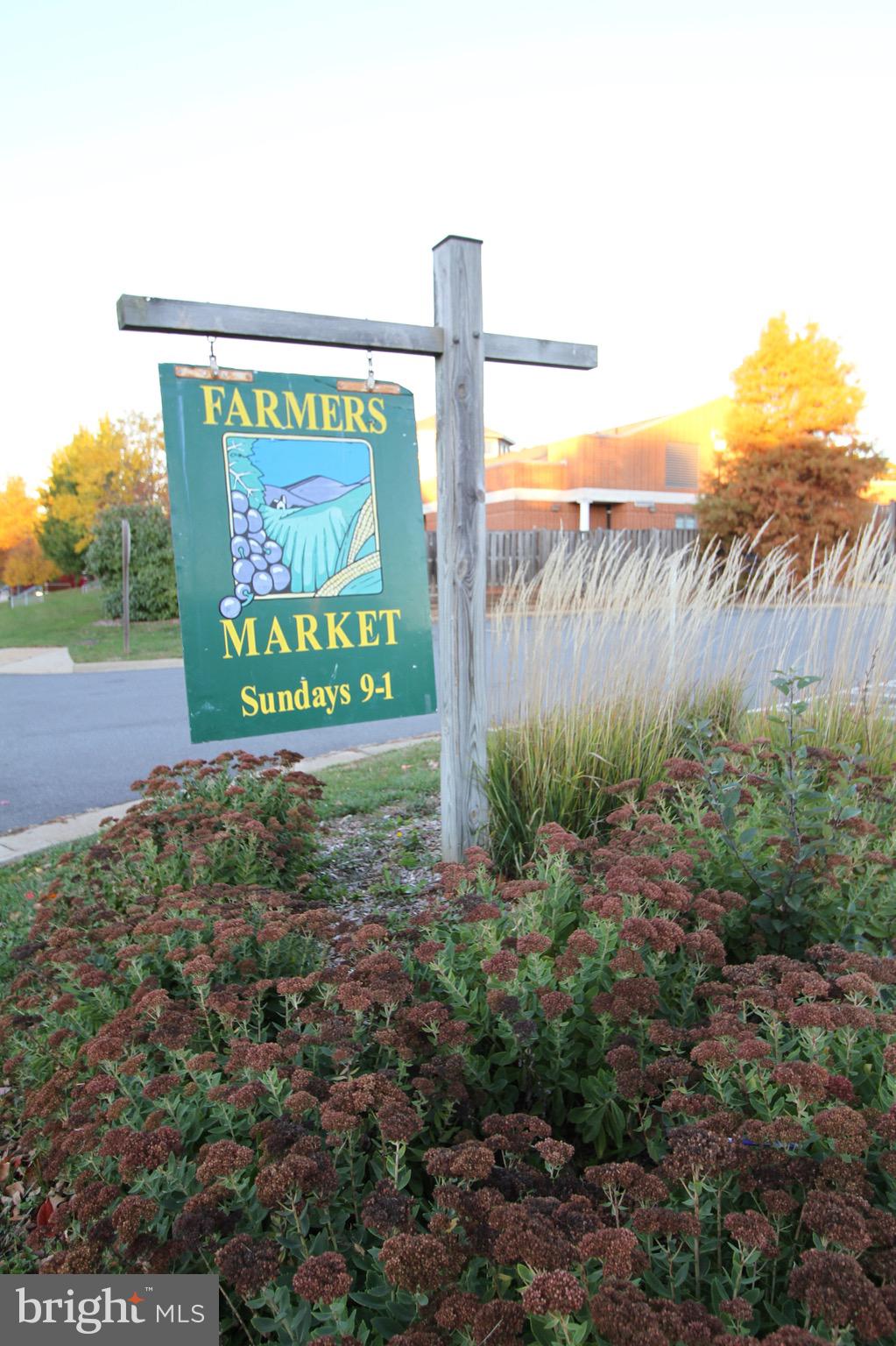 LOWES ISLAND - Residential Lease