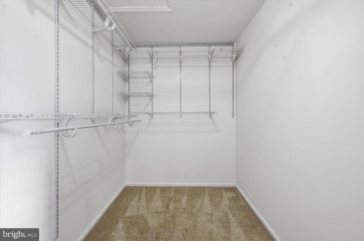 LOWES ISLAND - Residential Lease