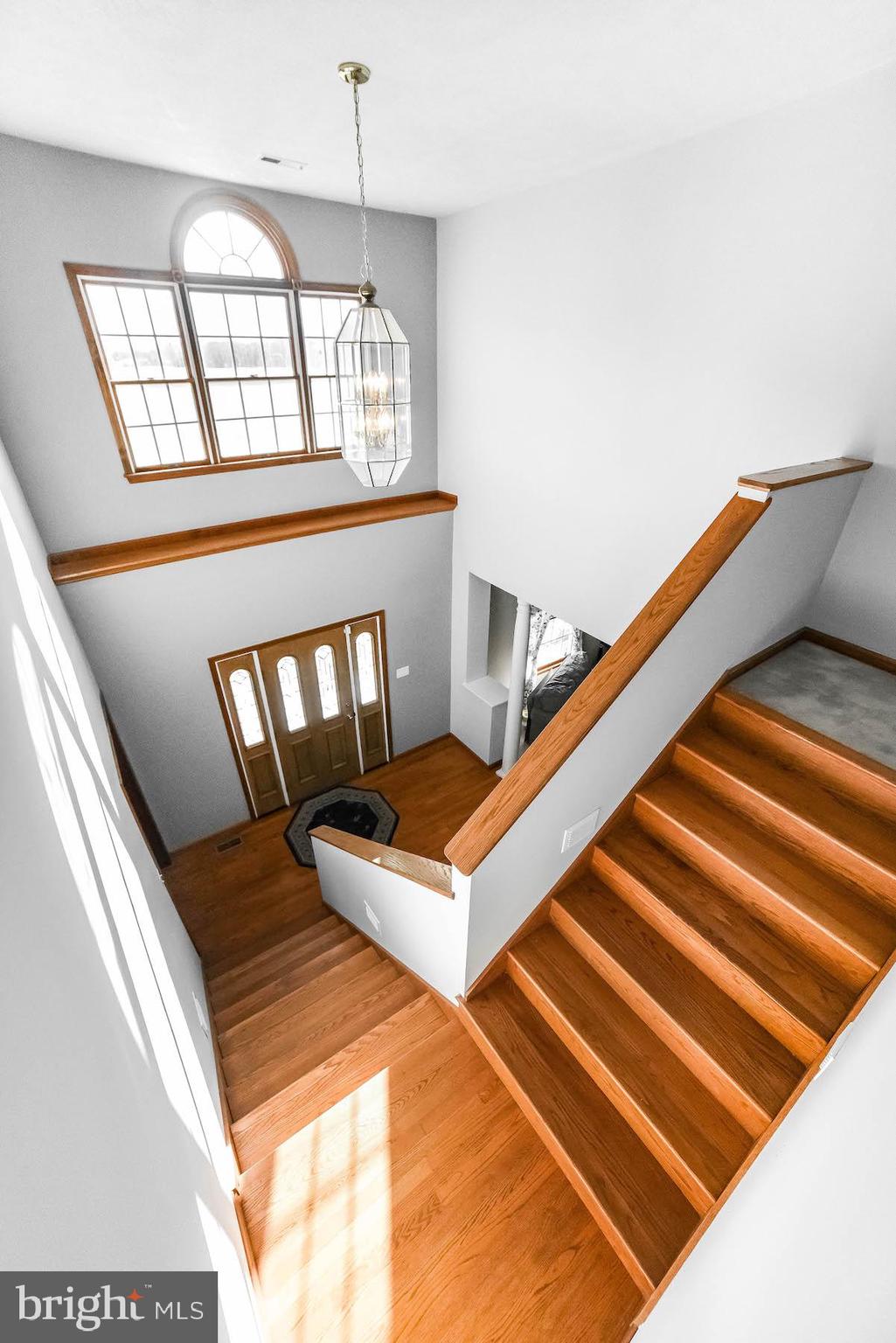 BOWLING STANDARD - Residential