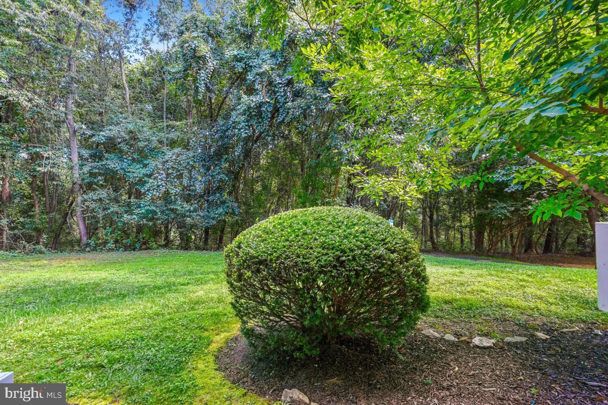 FOUNTAIN HILLS - Residential Lease