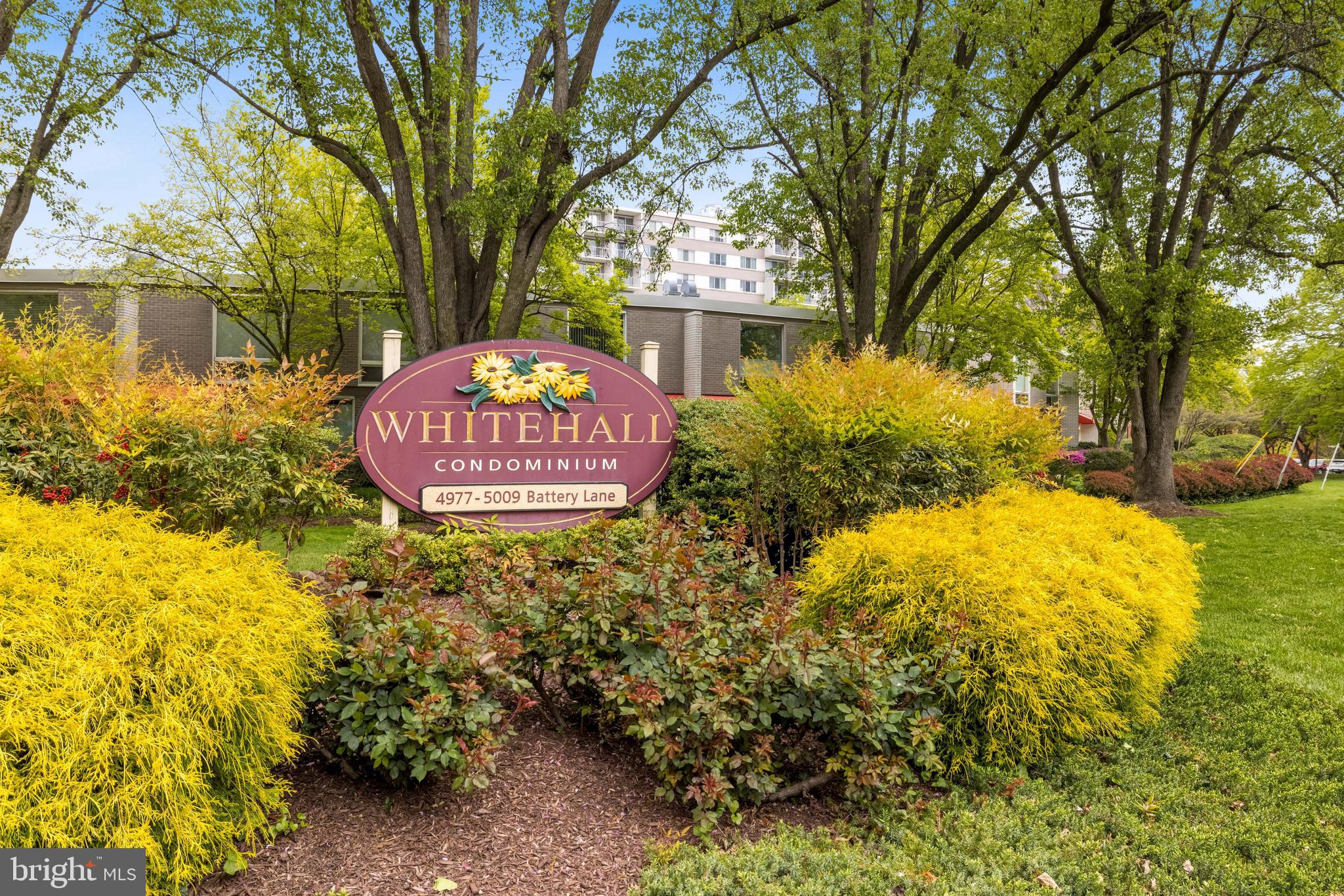 WHITEHALL - Residential