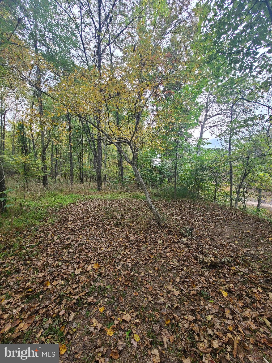 BIRCH CREEK - Residential