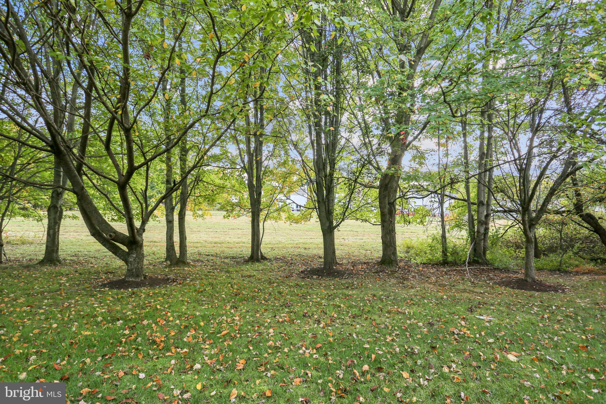 RIDGEFIELD - Residential