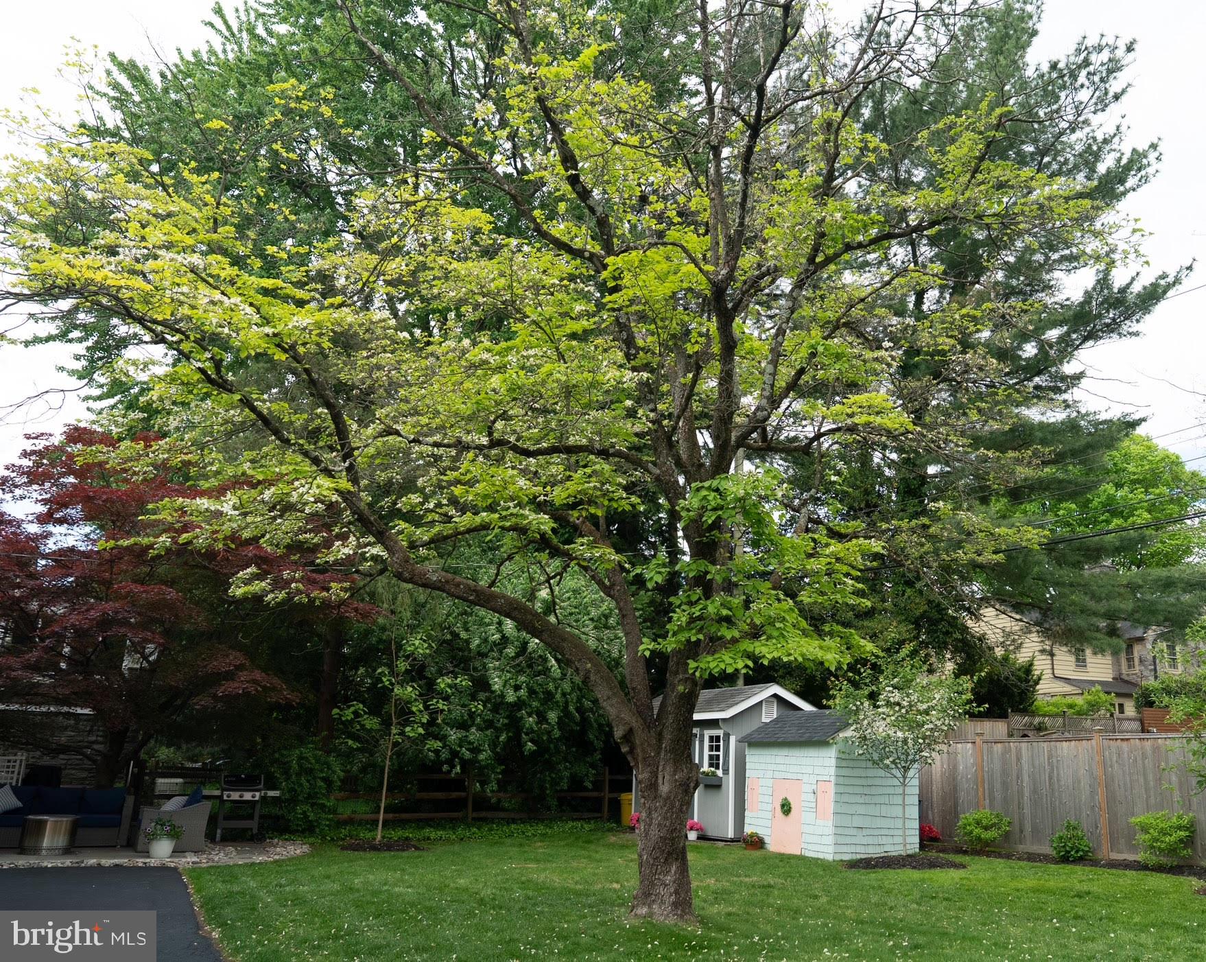 WYNNEWOOD - Residential