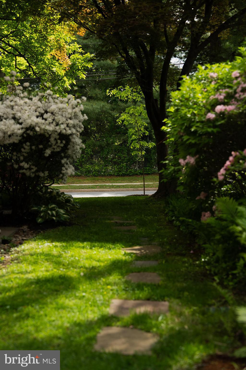 WYNNEWOOD - Residential