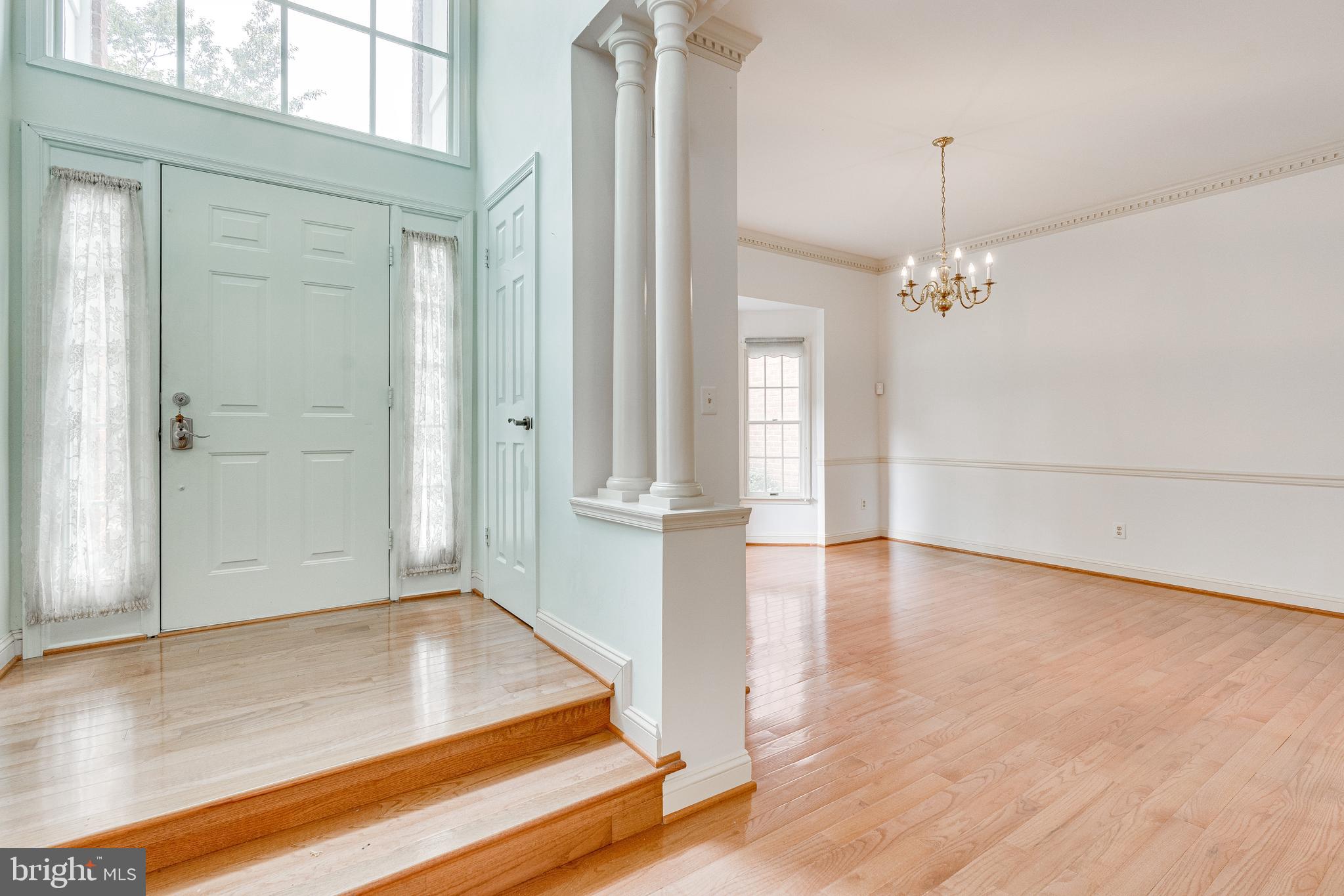 HAMPTON FOREST - Residential