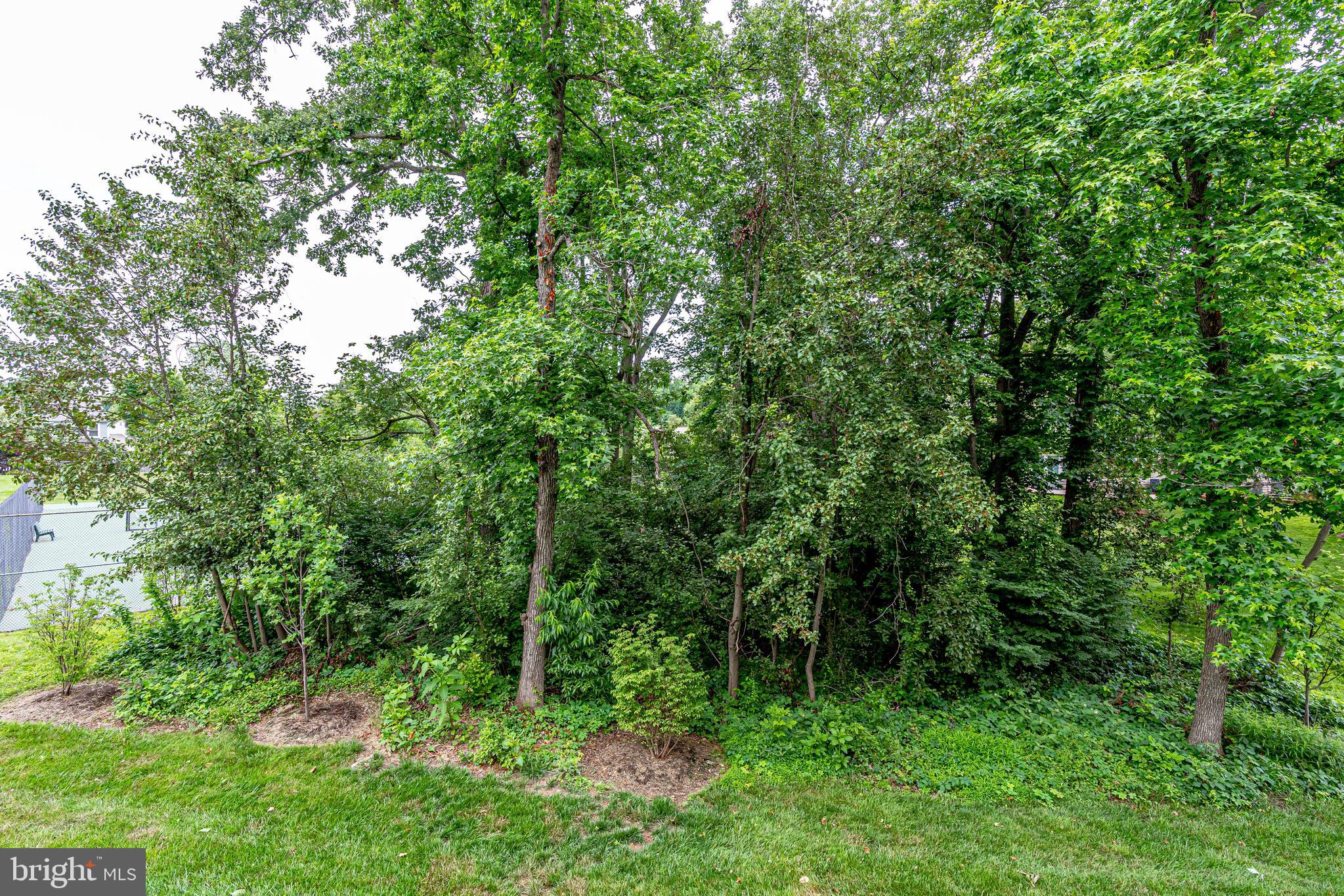 HAMPTON FOREST - Residential