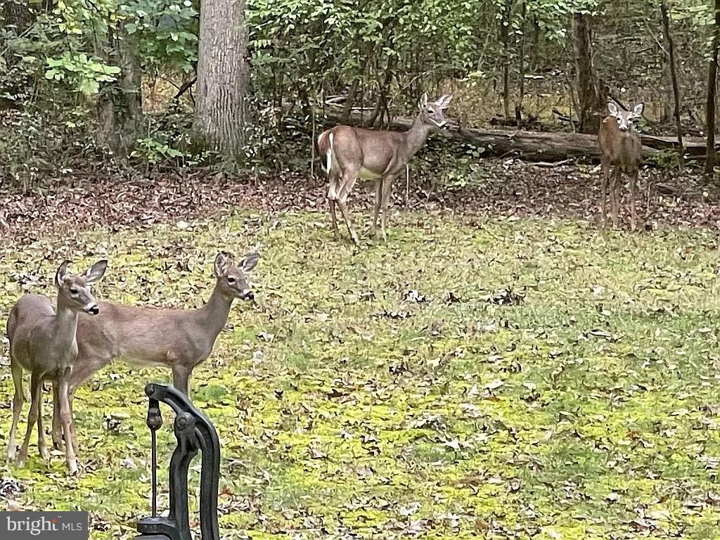 PEYTON PLACE - Residential