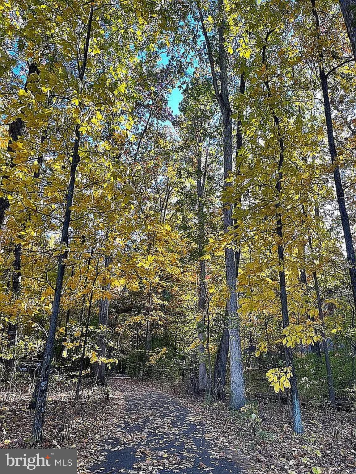 PEYTON PLACE - Residential