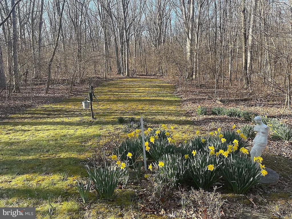 PEYTON PLACE - Residential