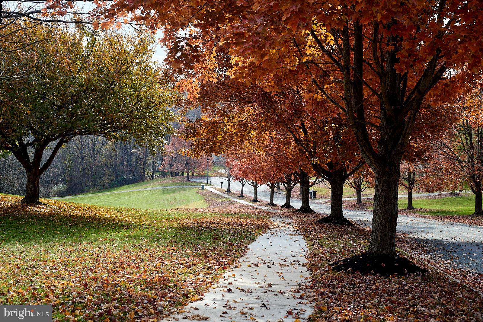 DAMASCUS OUTSIDE - Residential