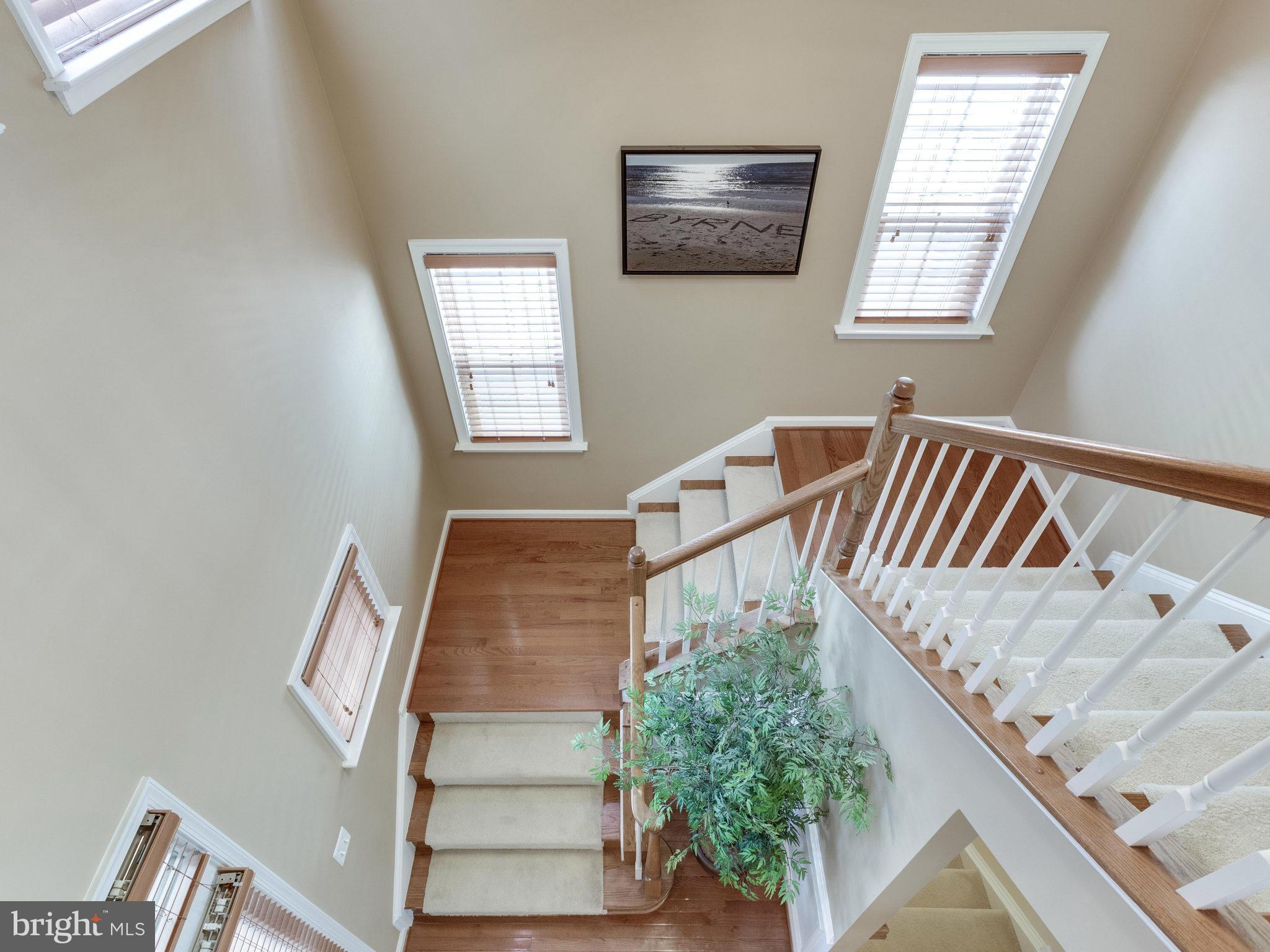 VERNON HEIGHTS - Residential