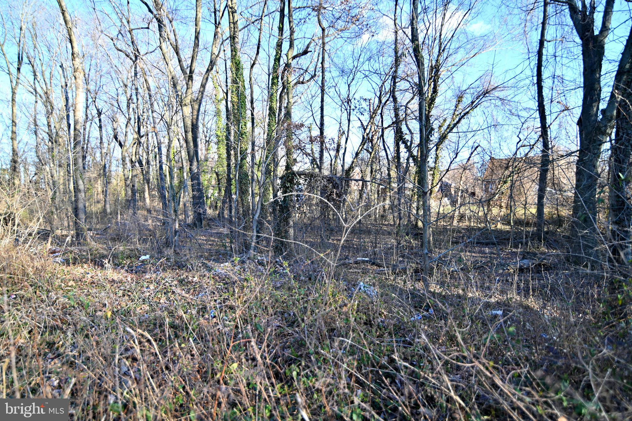 MARYLAND PARK - Land