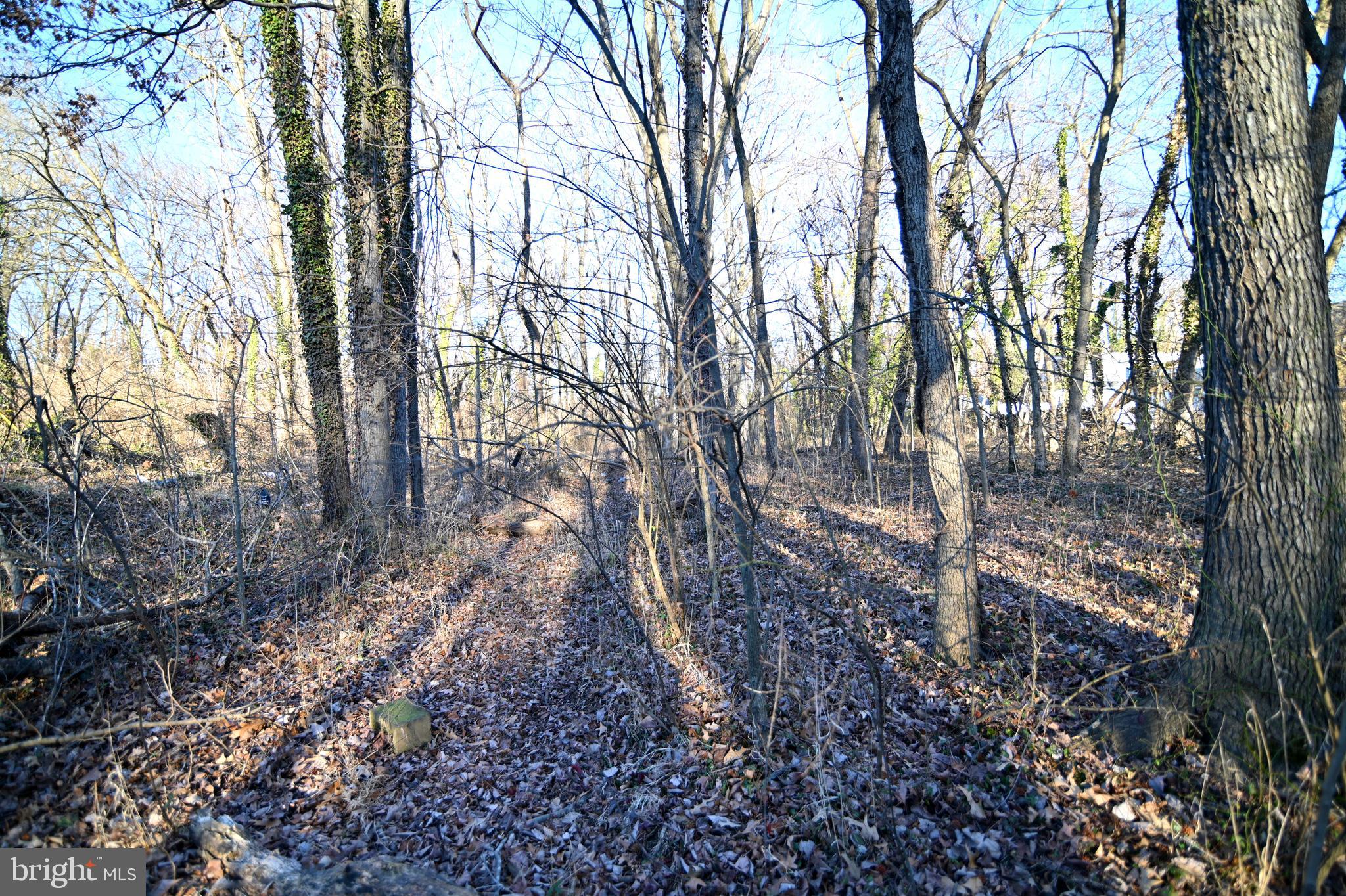 MARYLAND PARK - Land