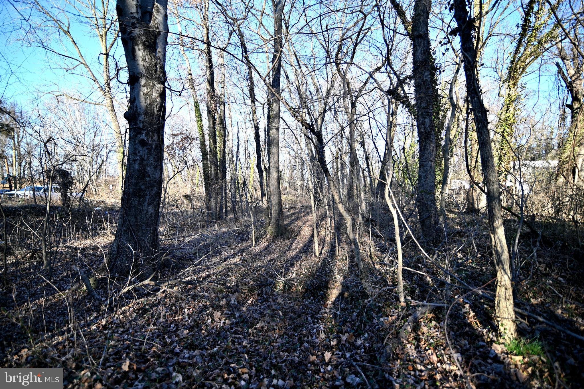 MARYLAND PARK - Land