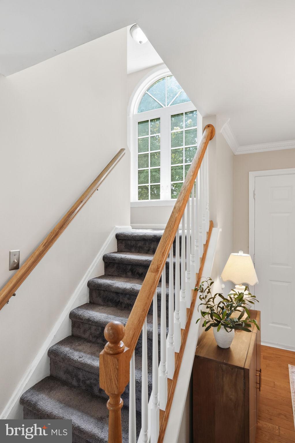 PONDS EDGE - Residential