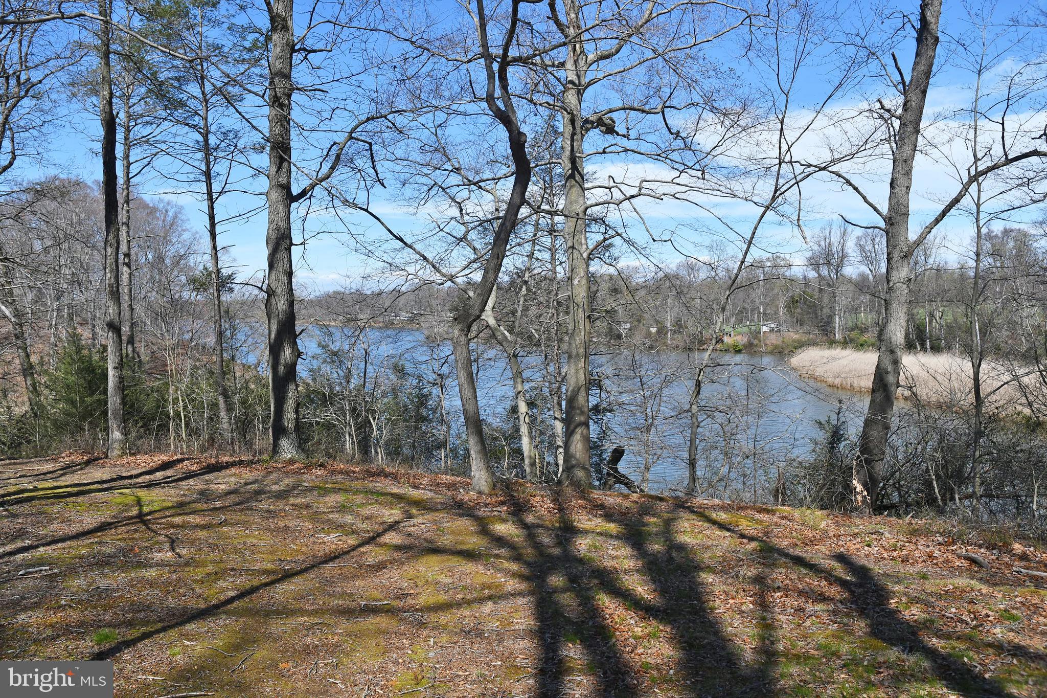 NONE DEV - Residential