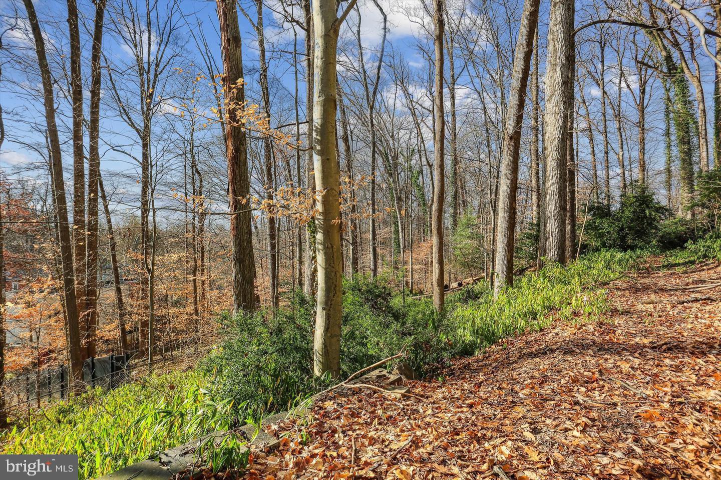 WOODHAVEN - Residential Lease