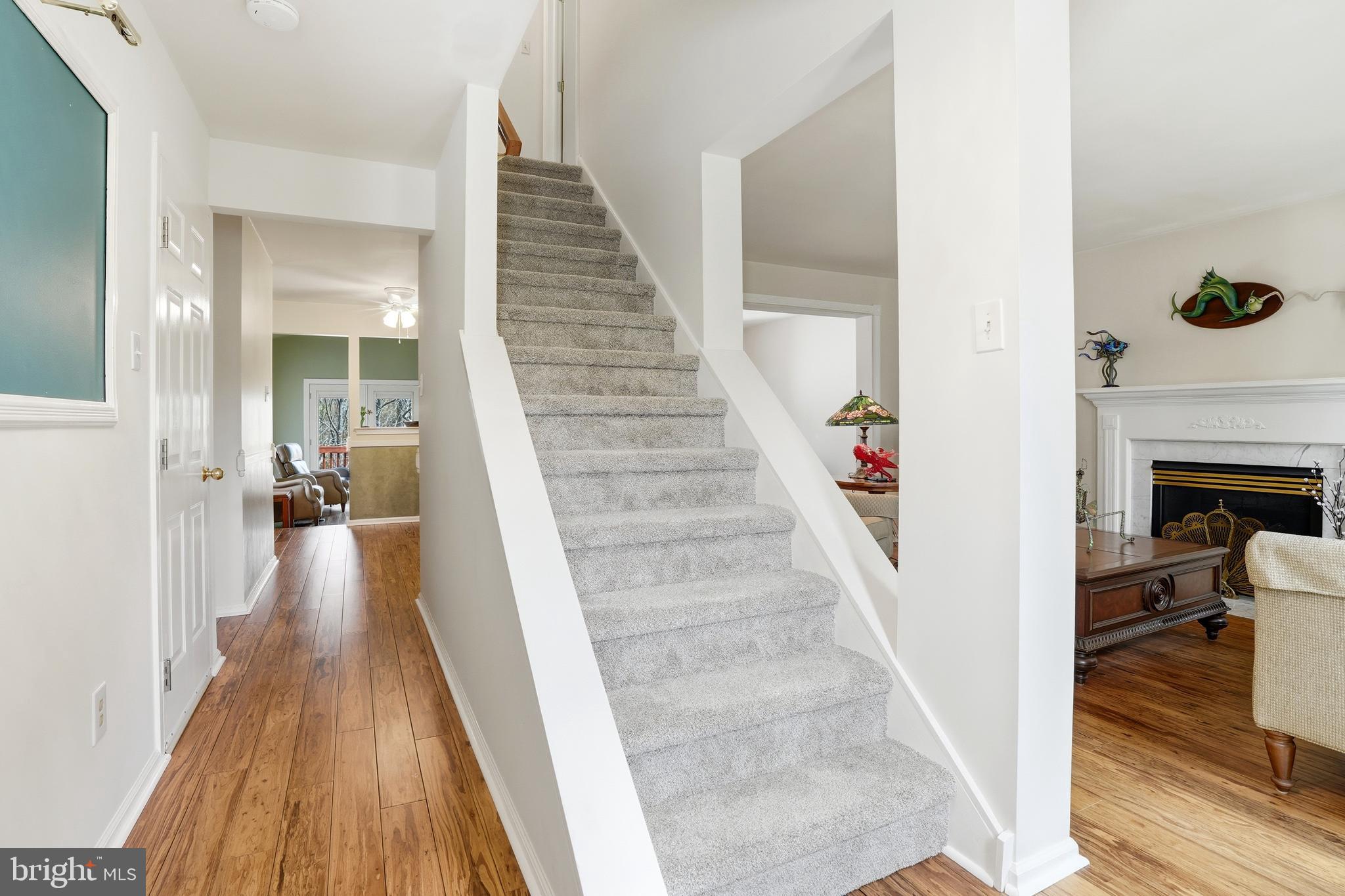 FORREST VIEW - Residential