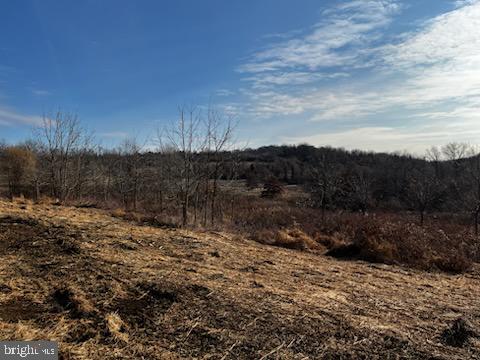 1668 PICKERING ROAD