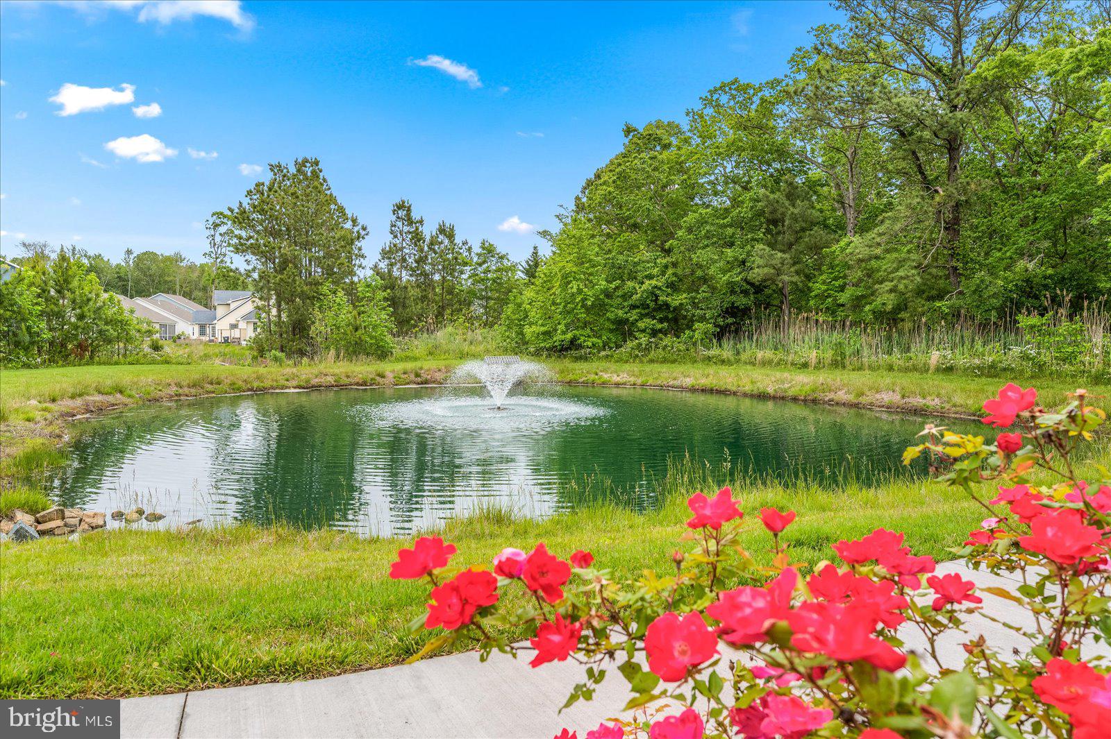 OCEAN VIEW BEACH CLUB - Residential