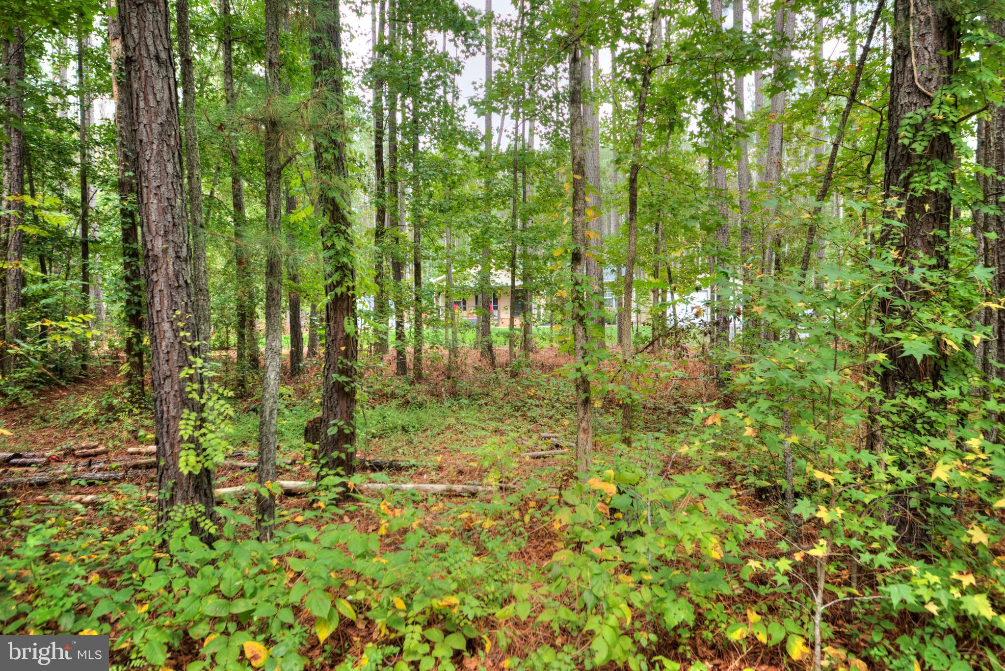 OAK GROVE ESTATES - Residential