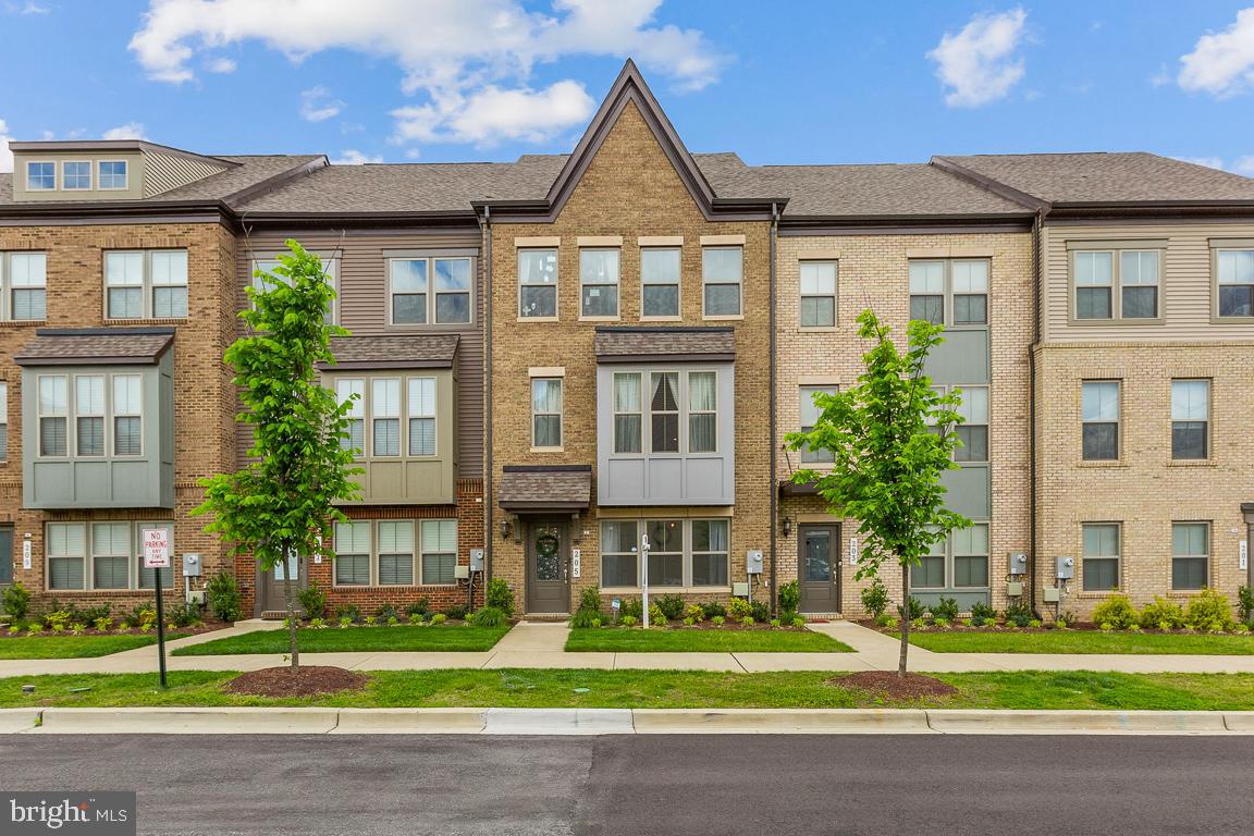 CAPITAL COURT - Residential Lease