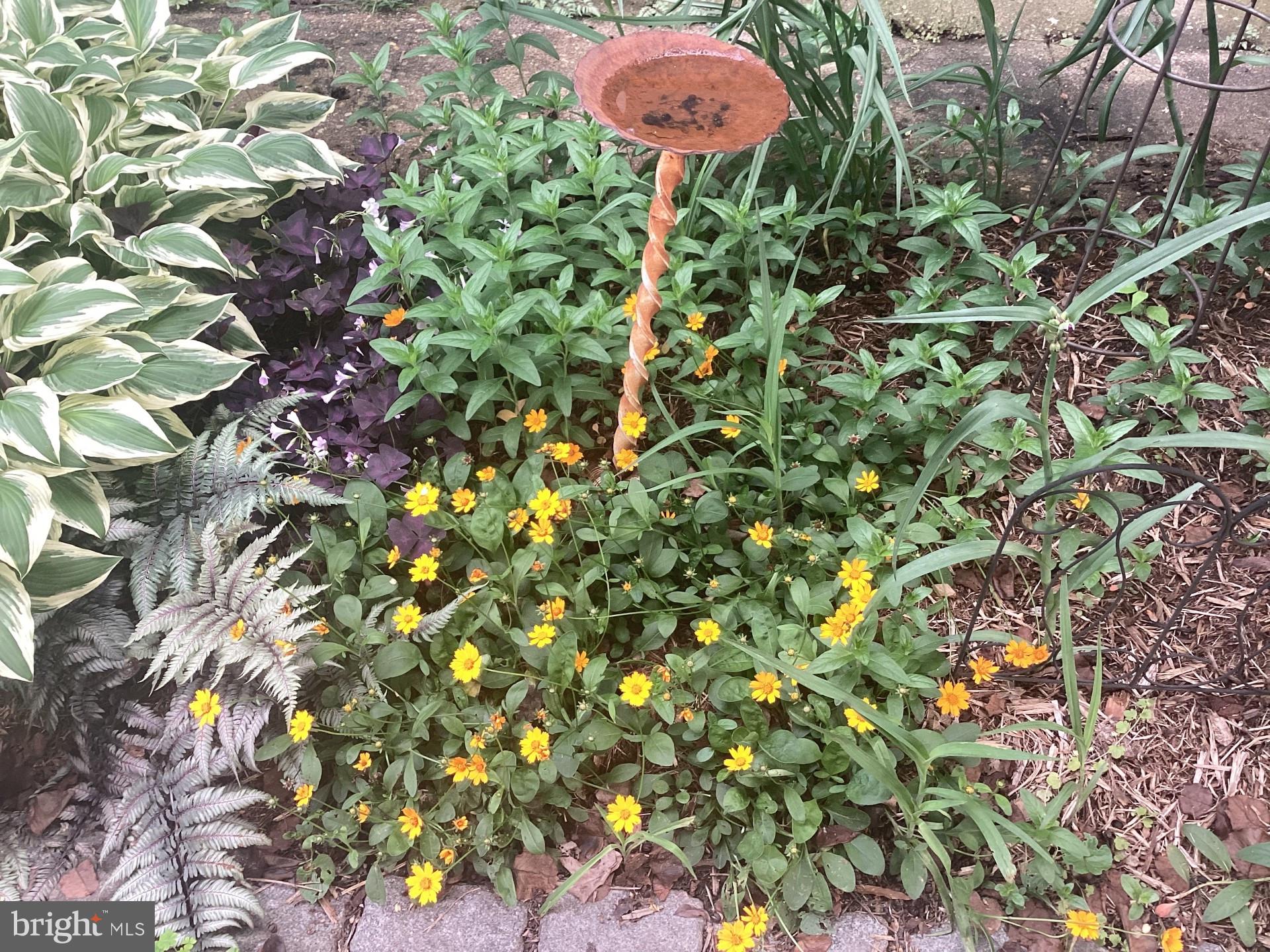 HISTORIC DISTRICT - Residential