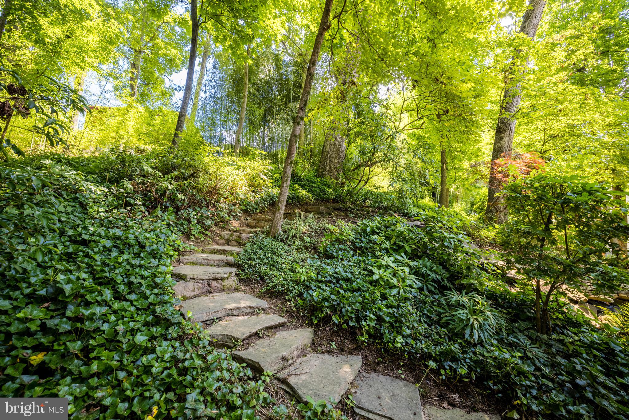 BELLEVUE FOREST - Residential