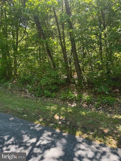 RIVER ROAD GREENSBORO MD 21639