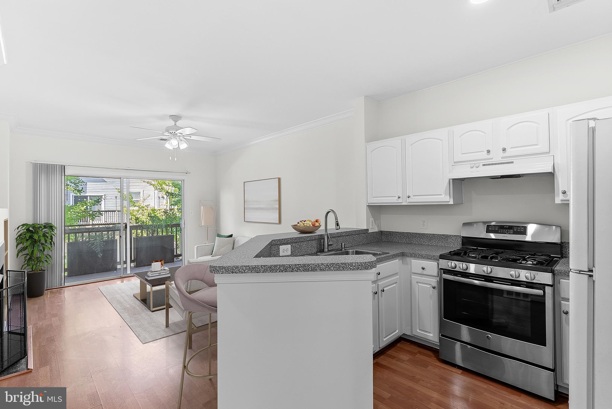 PARKSIDE AT ASHBURN - Residential