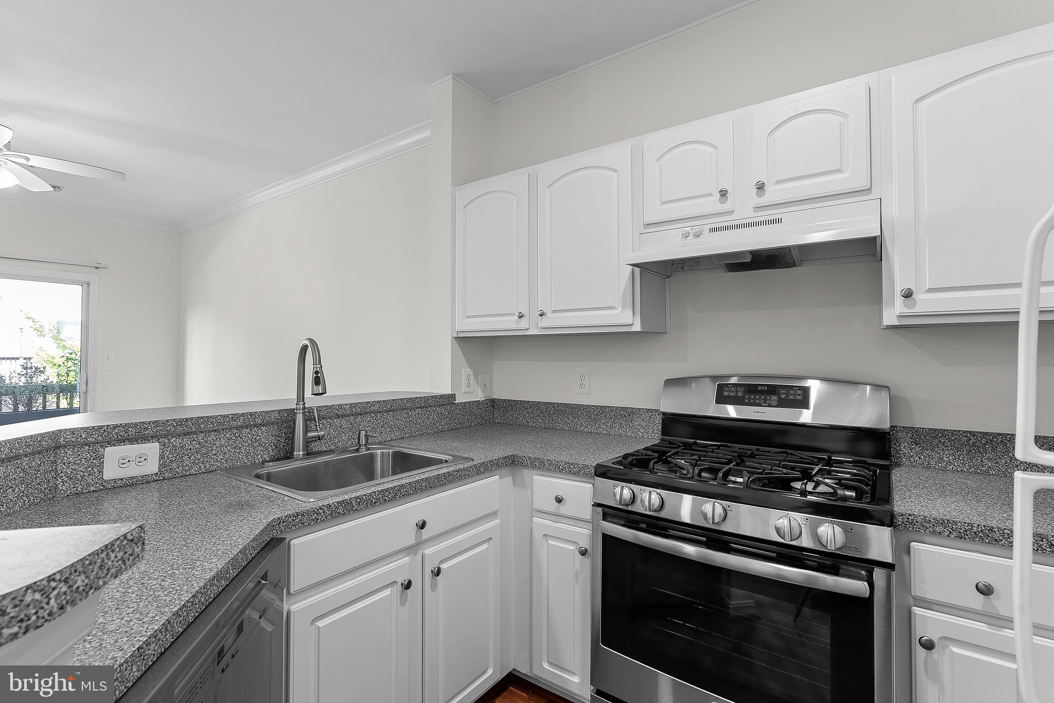 PARKSIDE AT ASHBURN - Residential