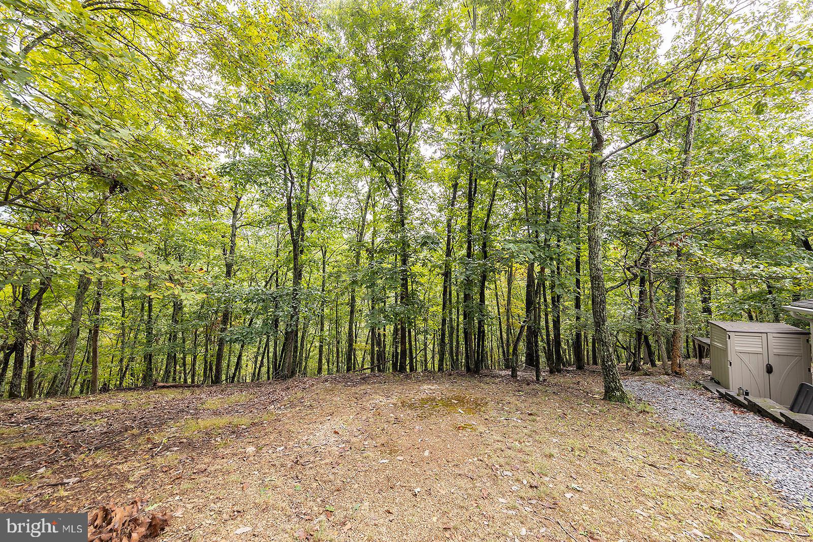 THE CROSSING AT GREAT CACAPON - Residential