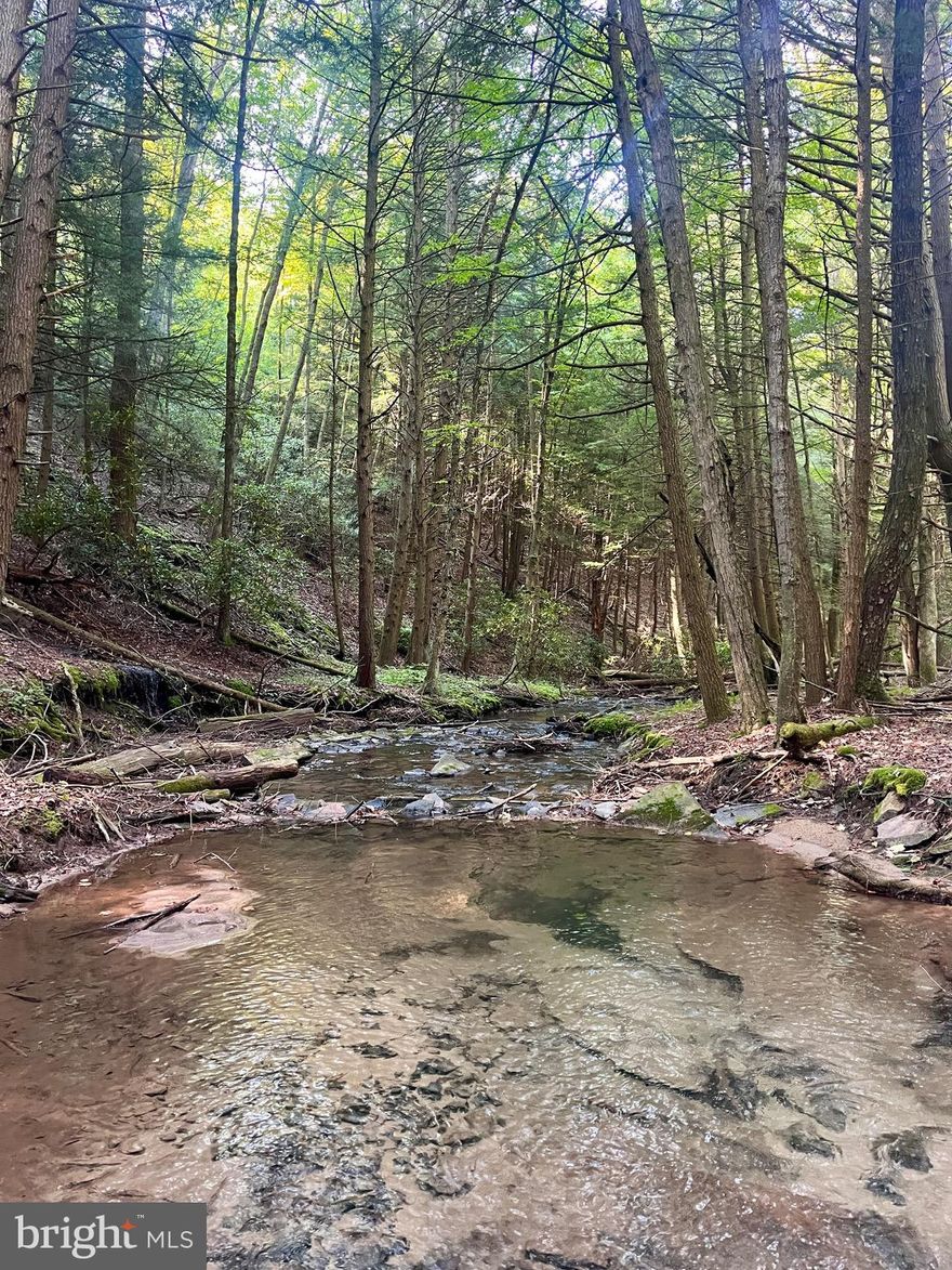 Spend more time in the beautiful woods of Clinton County! This property features approximately 829 acres of serene paradise, adjacent to the beautiful, 300,000+ acre Sproul State forest, with everything you could dream of in an getaway to the great outdoors.
 Wildlife abounds, including deer, turkey, and black bear, and even the occasional elk! You'll find a creek bottom with a stream winding through old growth woods with your own private rail trail, solid gravel roads winding throughout providing an unusual level of convenient access, and an abundance of beautiful build sites with jaw-dropping views.
The privacy, the creek bottom and views make this parcel an incredible spot to create your off grid dream home. Despite the remote nature of the property, convenience stores are about 20 minutes away to provide for your needs, as well as Howard Lake for water sports and fishing, and endless trails for dirt biking, ATVs, and snowmobiling providing loads of outdoor fun for non hunters. Perc tests have been passed on a couple sites on the property, however, the nearest power lines are about two miles away with costs estimated at about 24$ per foot to run power, making an off grid setup likely the most practical option. Take this opportunity to own your own piece of paradise!
Seller will consider offering seller financing, with a minimum of 30% down for a qualified buyer.