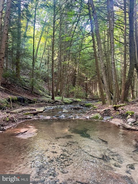 Vacant Land For Sale - 2500 Beech Creek Mountain Road<br/> BEECH CREEK, PA 16822