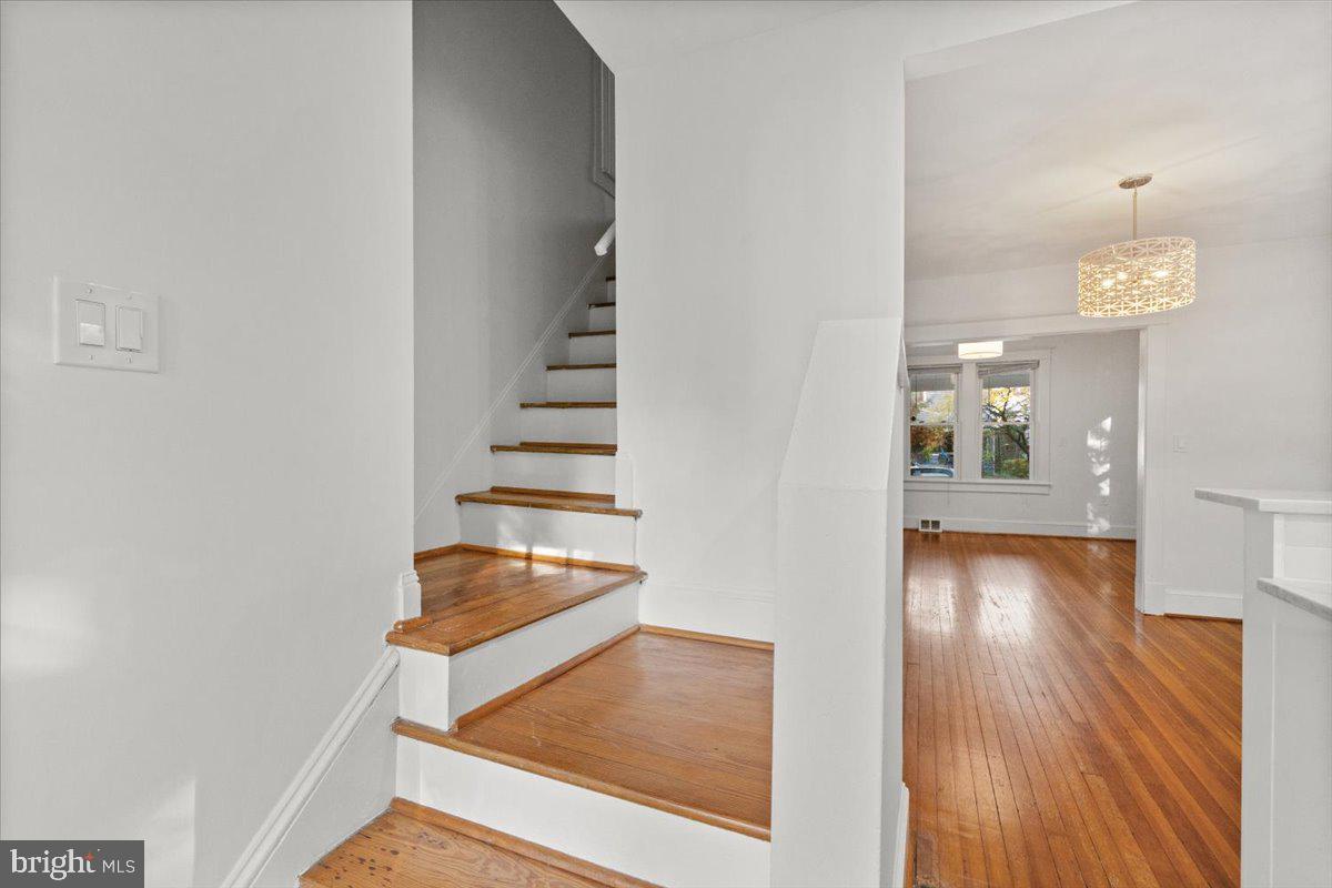 MT RAINIER - Residential Lease